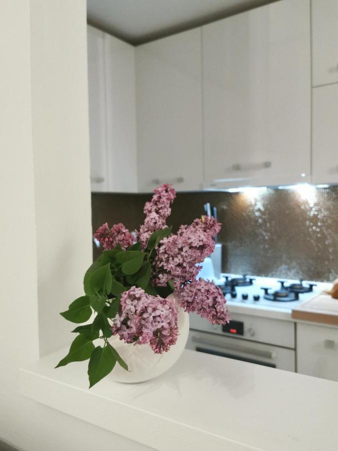Kenzo Apartment Senj  Εξωτερικό φωτογραφία